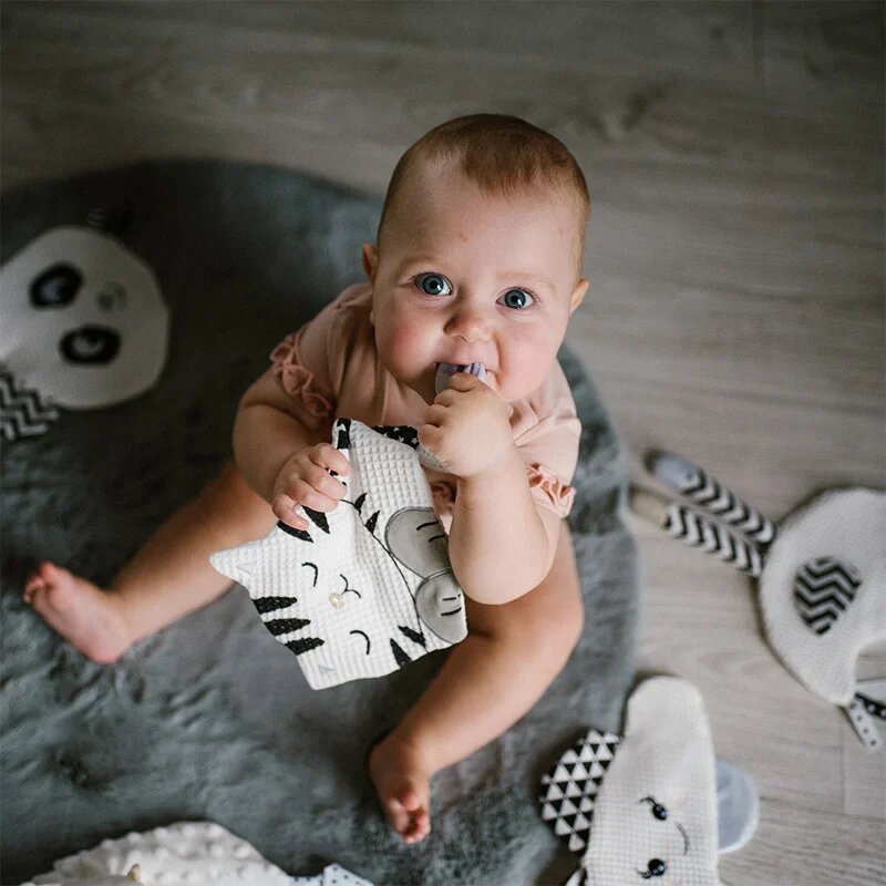 BabyOno Have Fun Blink & Smile ninica Kitty 1 kos