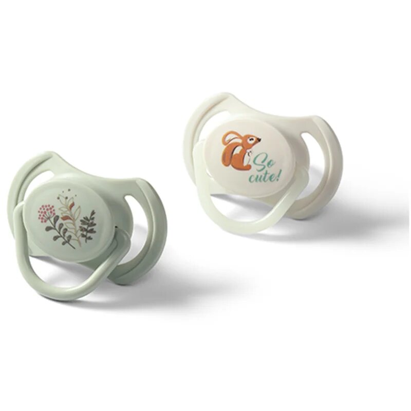 BabyOno Take Care Symmetrical Silicone Soothers duda Day & Night 6-18m+ 2 kos