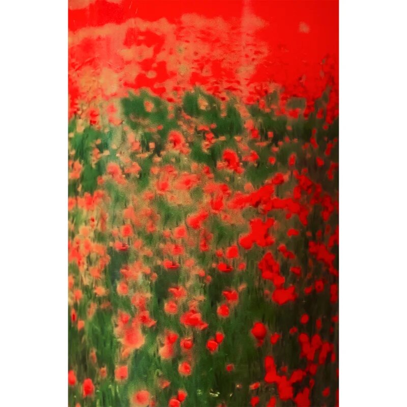 Baobab Collection Arty Flowers Poppies dišeča sveča 1000 g