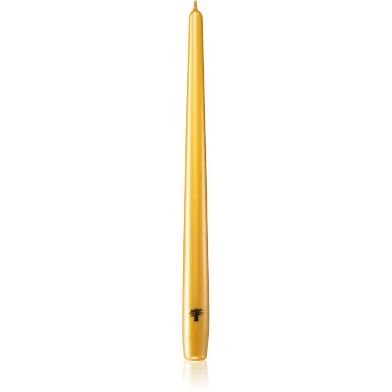 Baobab Collection Candela Gold sveča 4 kos