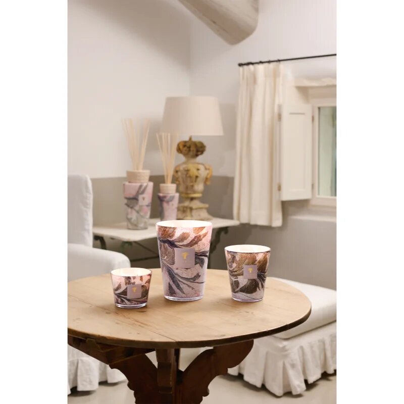 Baobab Collection Leaves Manon dišeča sveča 1000 g