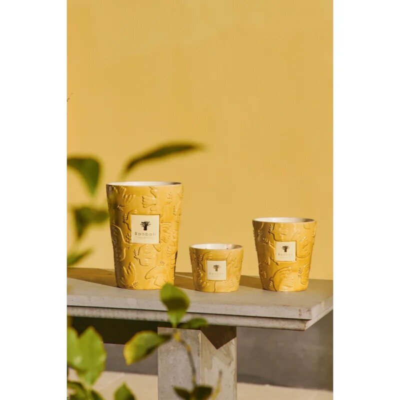 Baobab Collection Paz Dove dišeča sveča 1000 g