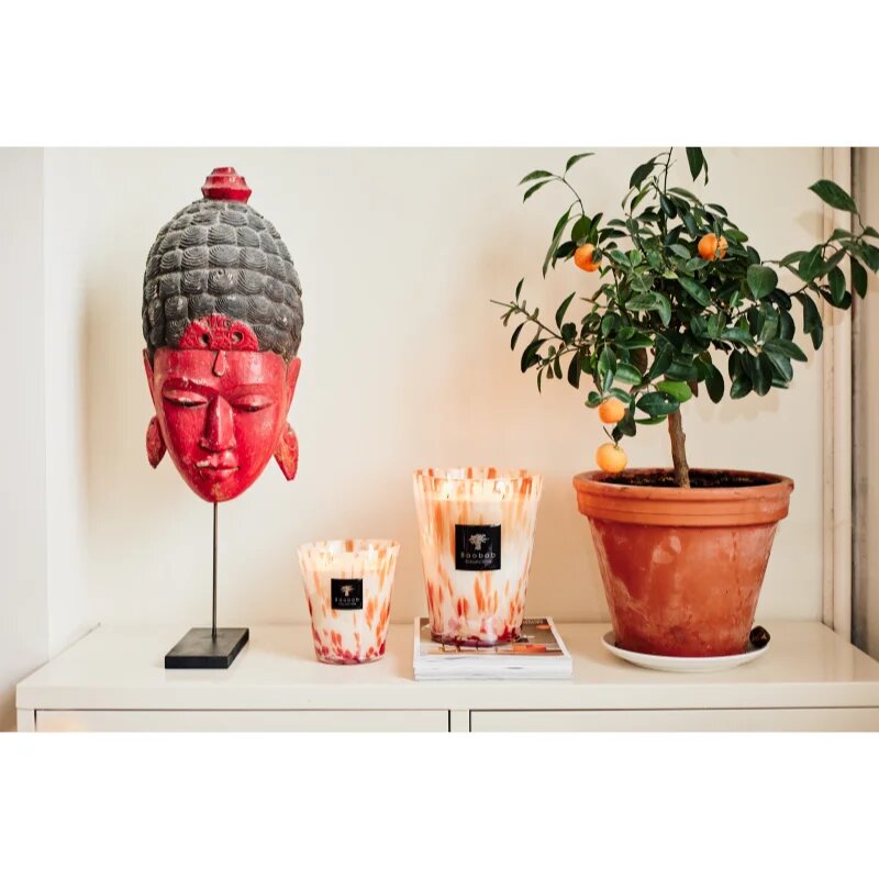 Baobab Collection Pearls Coral dišeča sveča 1000 g