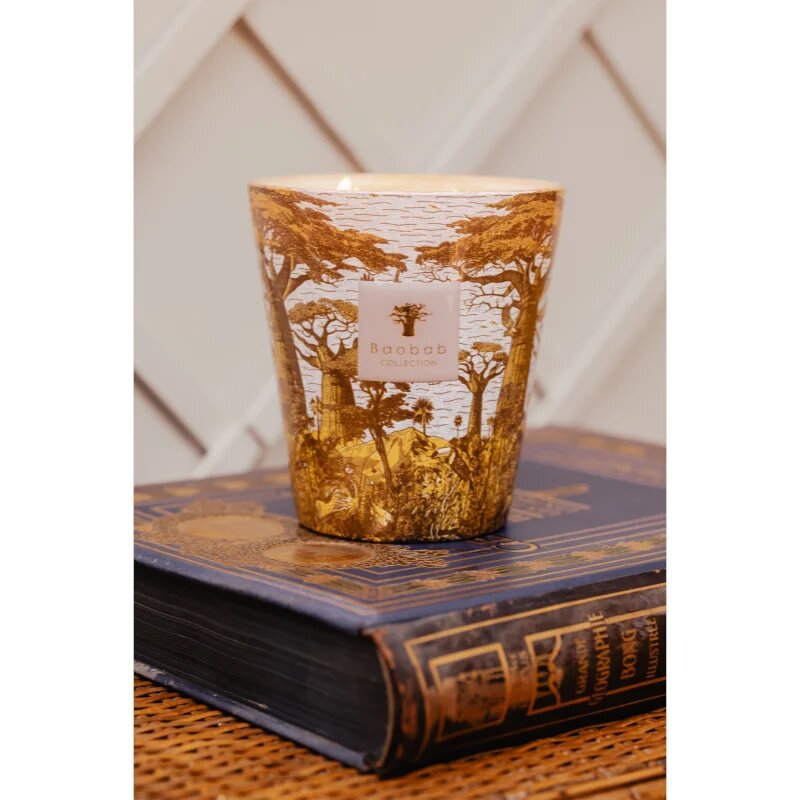 Baobab Collection Sacred Trees Bounkani dišeča sveča 1100 g