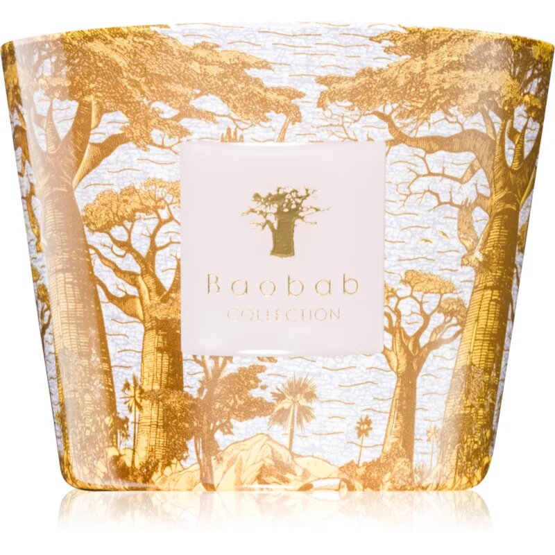 Baobab Collection Sacred Trees Bounkani dišeča sveča 500 g