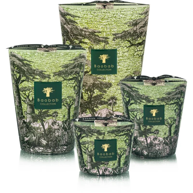 Baobab Collection Sacred Trees Touba dišeča sveča 1100 g