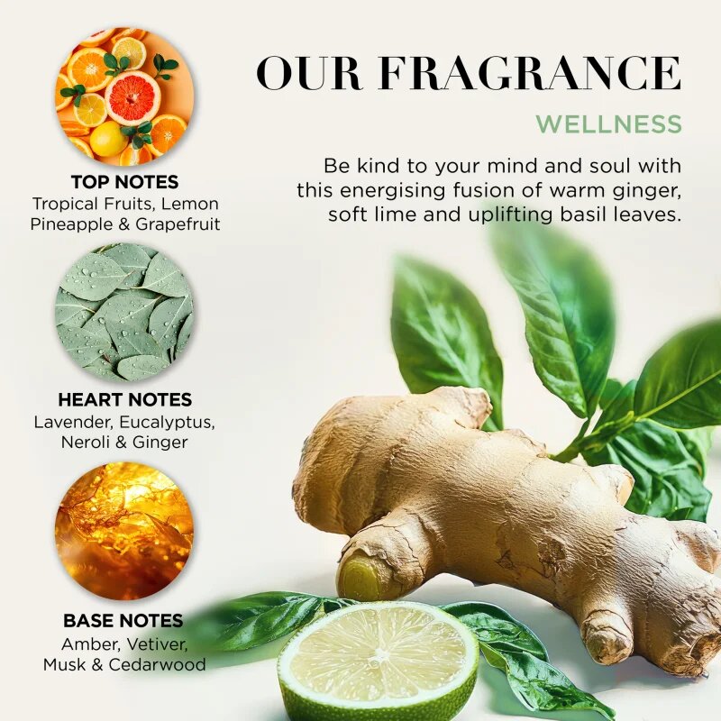 Baylis & Harding Wellness. Energise darilni set za telo Ginger Lime & Basil Leaf