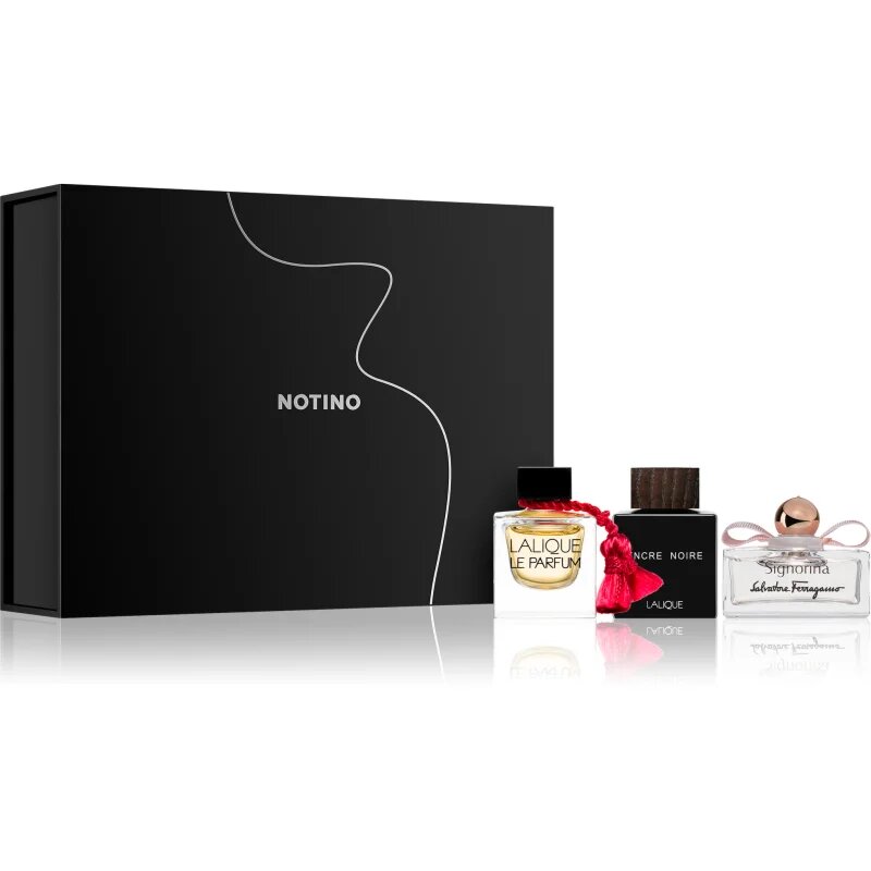 Beauty Discovery Box Exclusive Notino Essence Noire darilni set uniseks