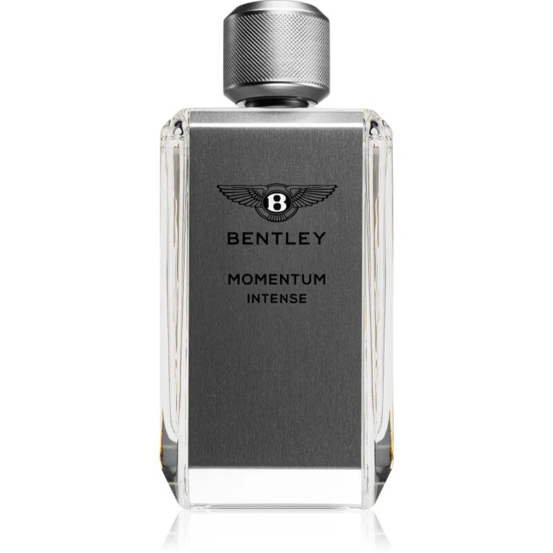 Bentley Momentum Intense parfumska voda za moške 100 ml