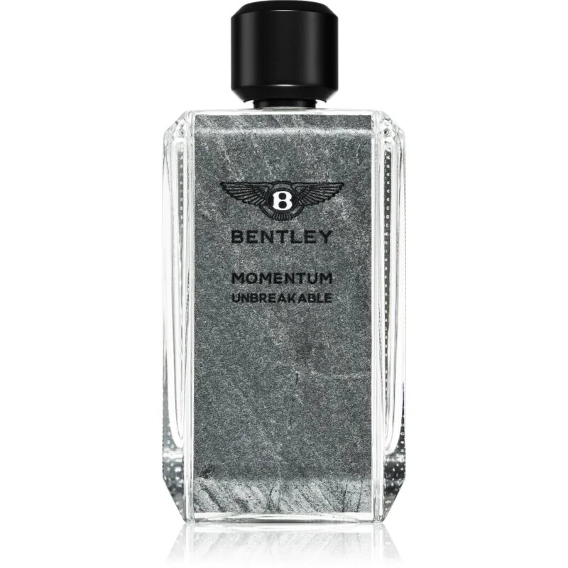 Bentley Momentum Unbreakable parfumska voda za moške 100 ml