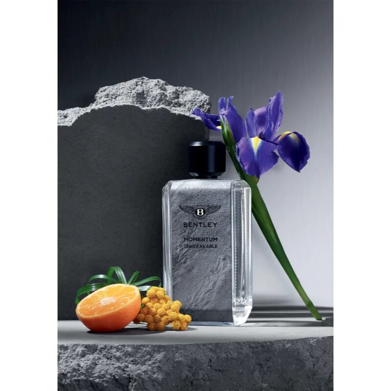 Bentley Momentum Unbreakable parfumska voda za moške 100 ml