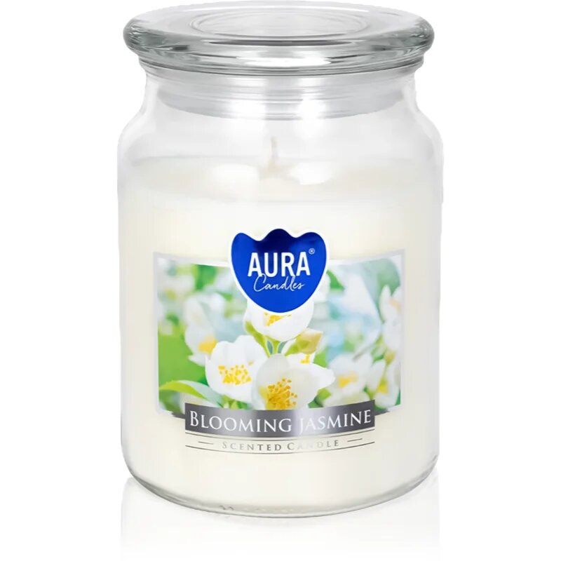 BISPOL Premium Line Blooming Jasmine dišeča sveča 500 g