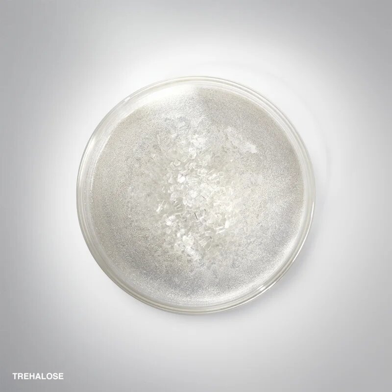 Bobbi Brown Hydrating Face Cream vlažilna krema za vse tipe kože 50 g