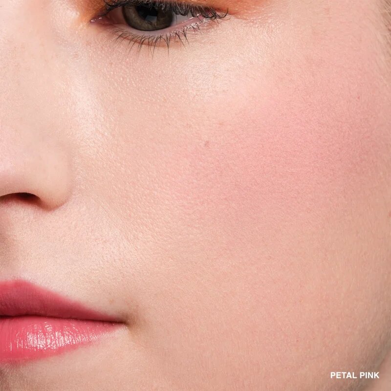 Bobbi Brown Pot Rouge Velvet Matte mat kremasto rdečilo odtenek Petal Pink 8.5 g