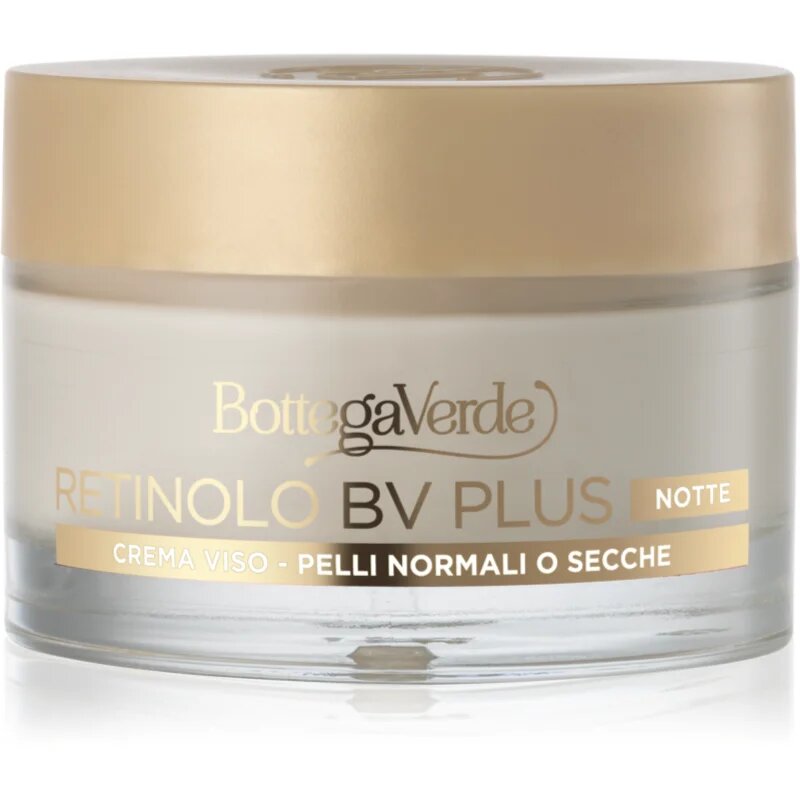 Bottega Verde Retinolo BV Plus vlažilna nočna krema proti gubam z retinolom 50 ml