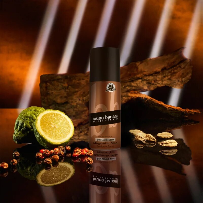 Bruno Banani Magnetic Man deodorant v pršilu 24 ur za moške 150 ml