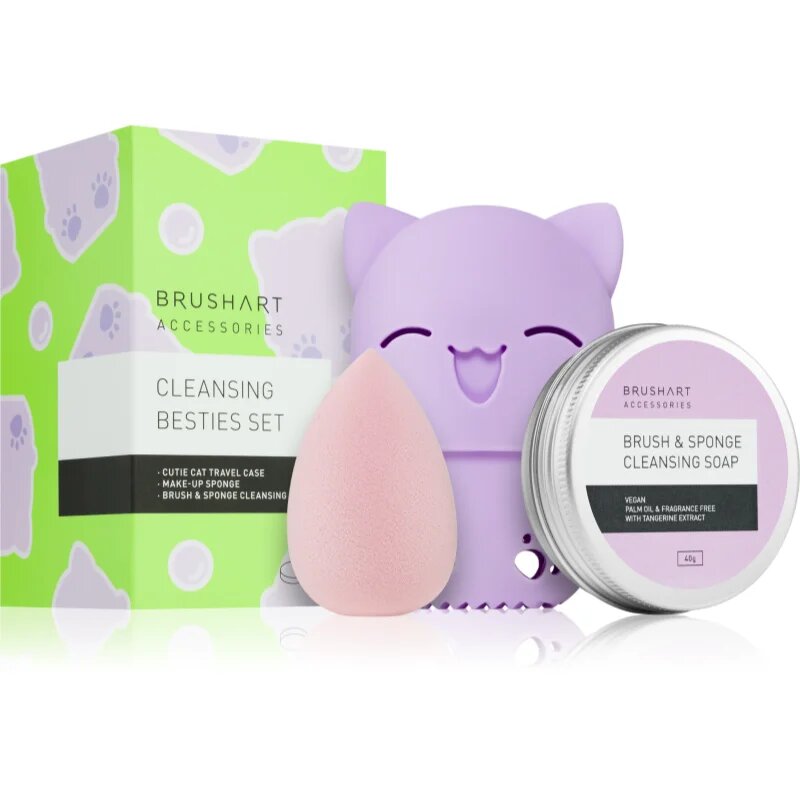 BrushArt Accessories Cleansing besties set Potovalni set