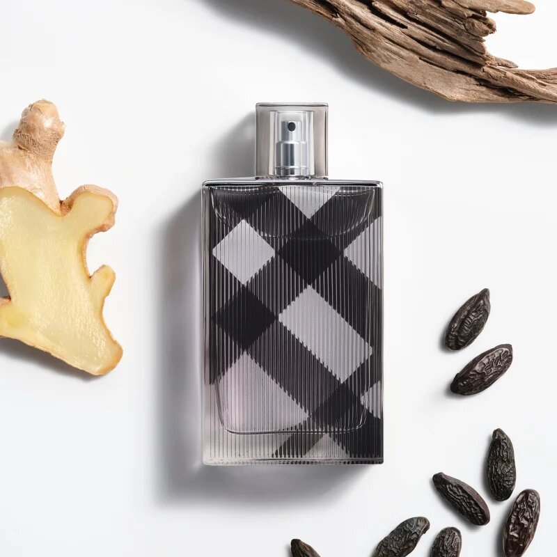 Burberry Brit for Him toaletna voda za moške 50 ml