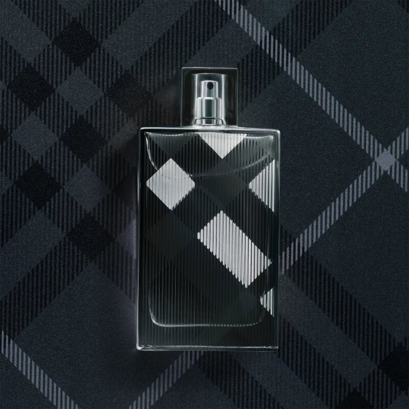 Burberry Brit for Him toaletna voda za moške 50 ml