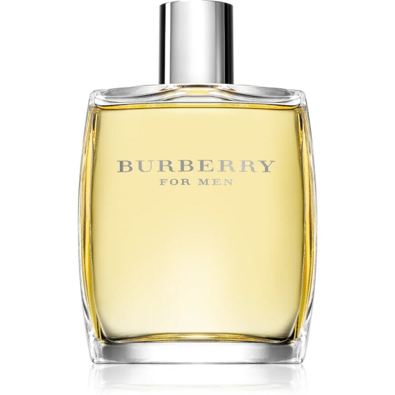 Burberry for Men toaletna voda za moške 100 ml