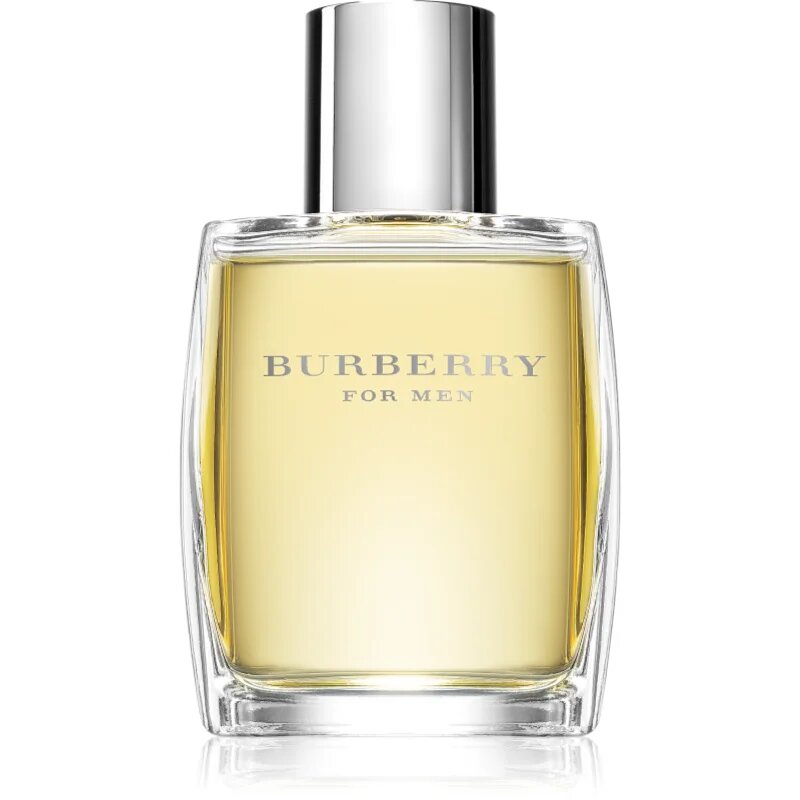 Burberry for Men toaletna voda za moške 50 ml