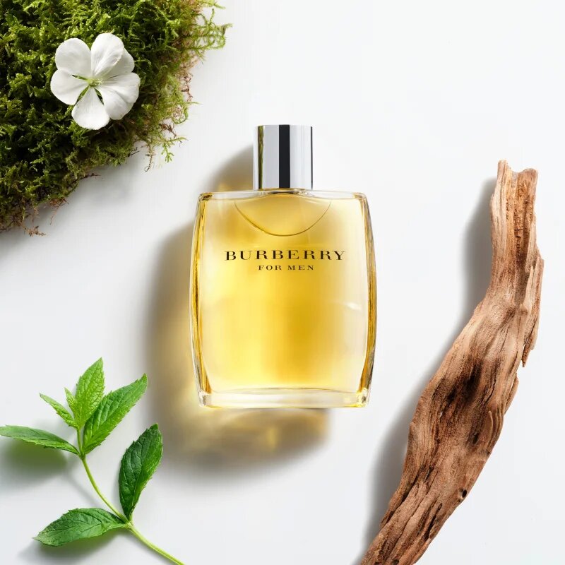 Burberry for Men toaletna voda za moške 50 ml