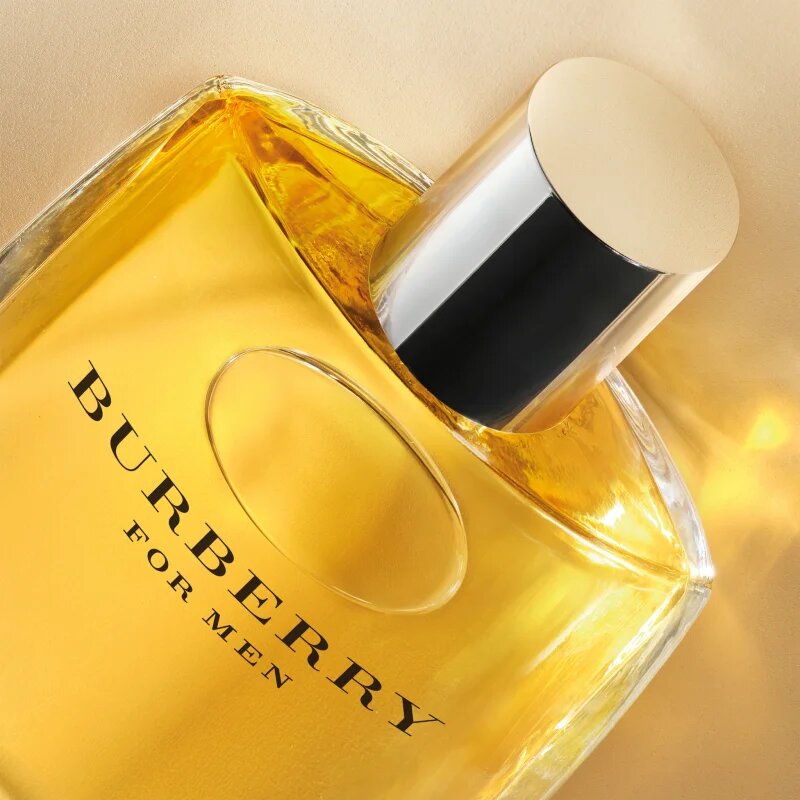 Burberry for Men toaletna voda za moške 50 ml