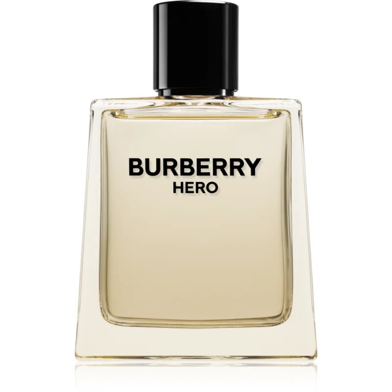 Burberry Hero toaletna voda polnilna za moške 100 ml
