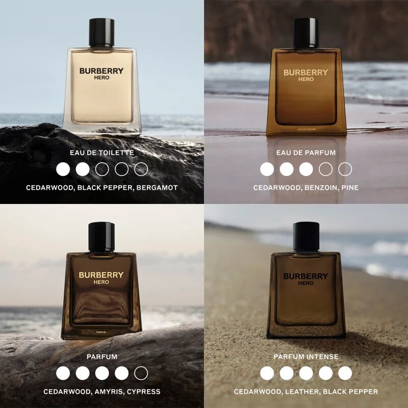 Burberry Hero toaletna voda za moške 50 ml