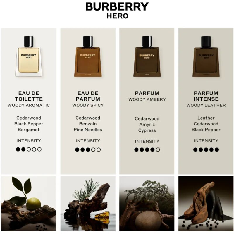 Burberry Hero toaletna voda za moške Refill 200 ml