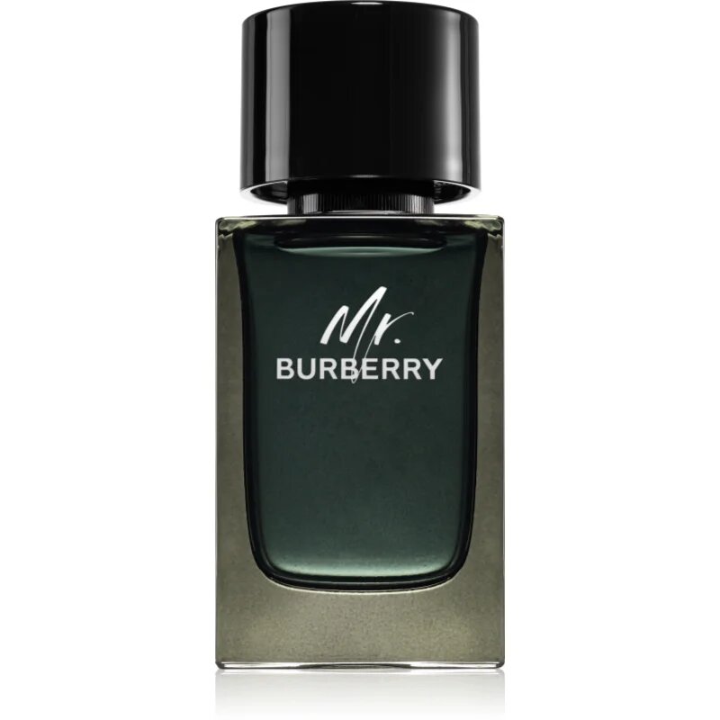 Burberry Mr. parfumska voda za moške 100 ml
