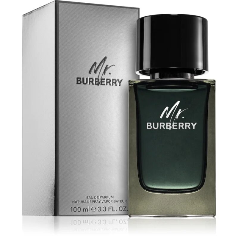 Burberry Mr. parfumska voda za moške 100 ml