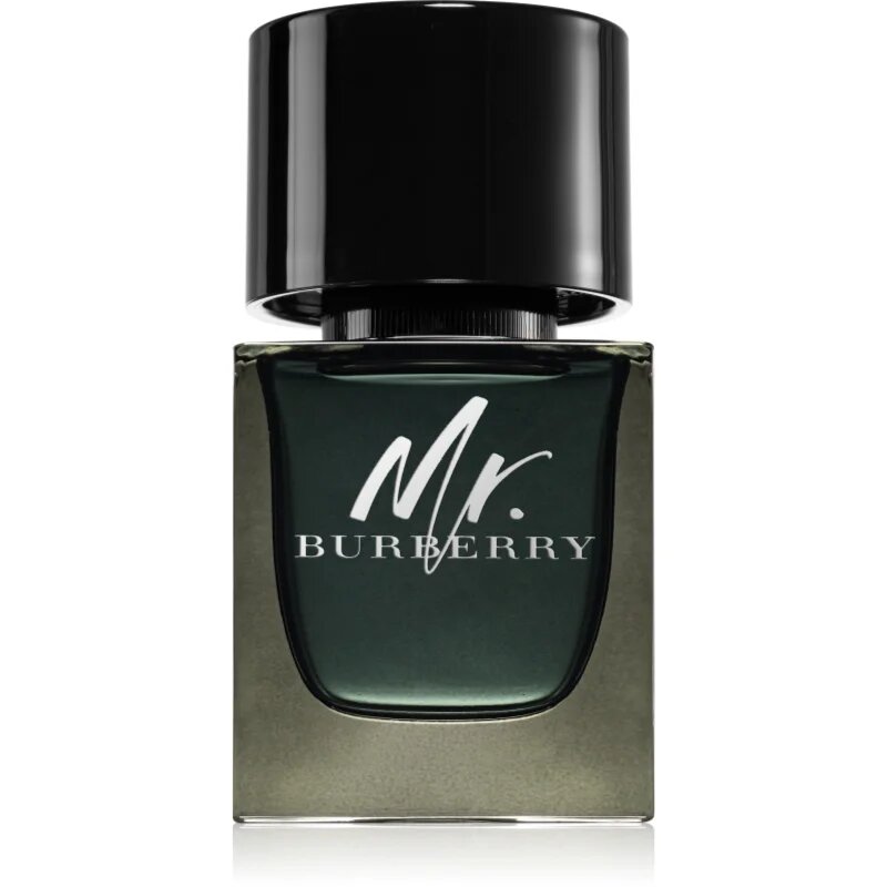 Burberry Mr. parfumska voda za moške 50 ml