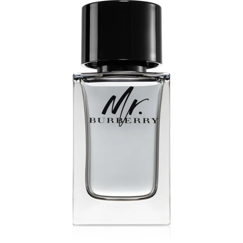 Burberry Mr. toaletna voda za moške 100 ml