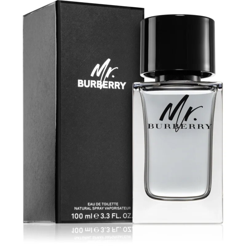 Burberry Mr. toaletna voda za moške 100 ml