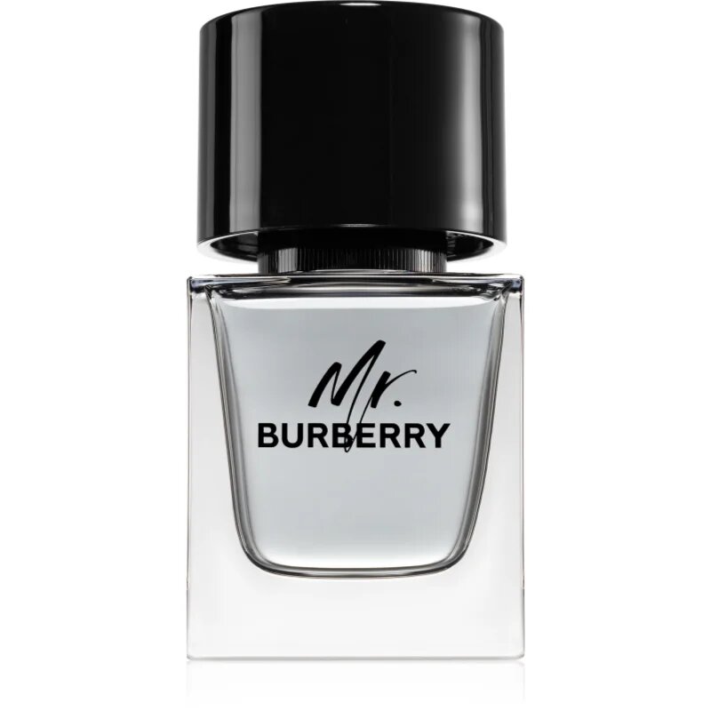 Burberry Mr. toaletna voda za moške 50 ml
