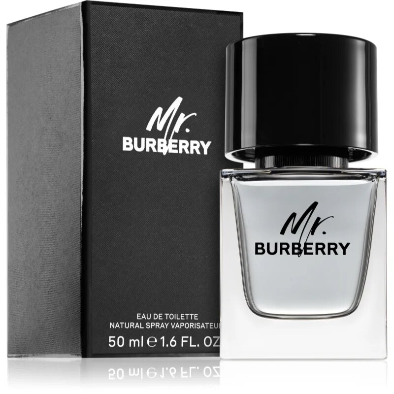 Burberry Mr. toaletna voda za moške 50 ml