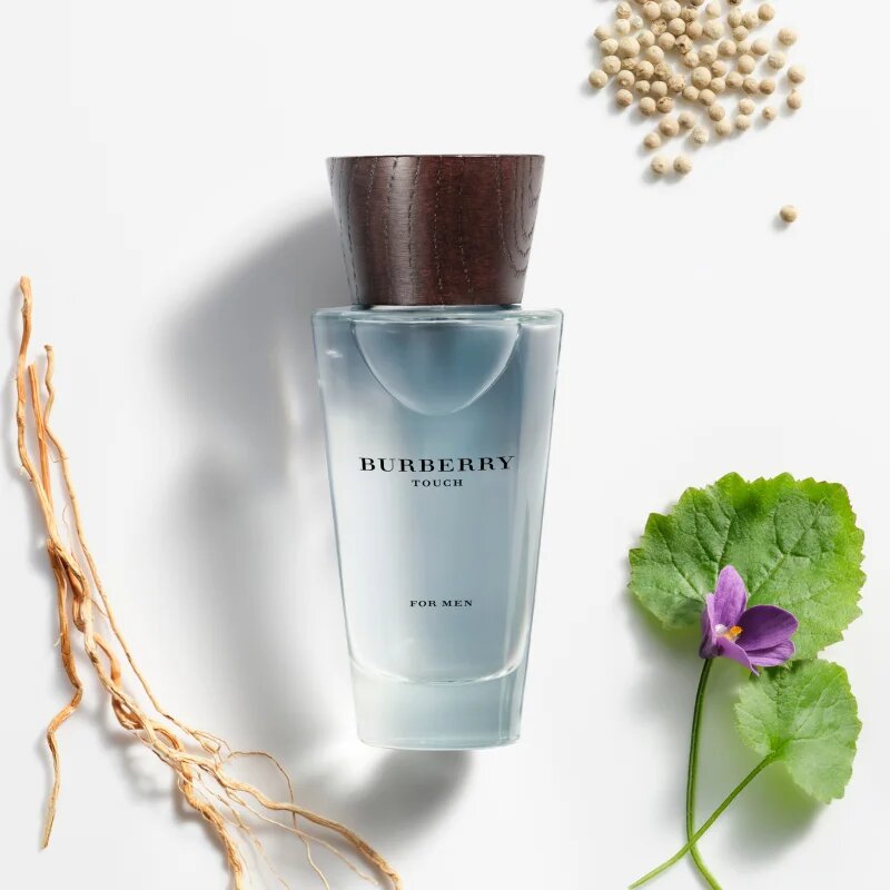 Burberry Touch for Men toaletna voda za moške 100 ml