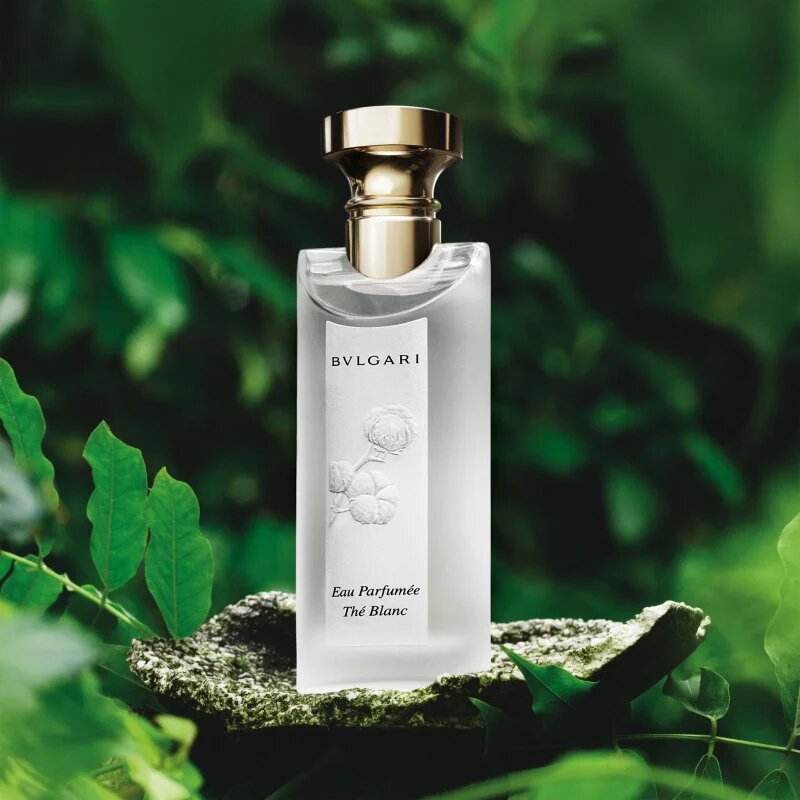BVLGARI Eau Parfumée Au Thé Blanc darilni set uniseks