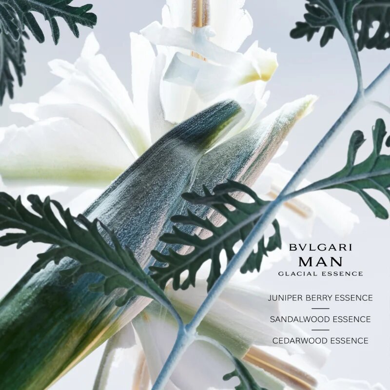 BVLGARI Man Glacial Essence parfumska voda polnilna za moške 100 ml