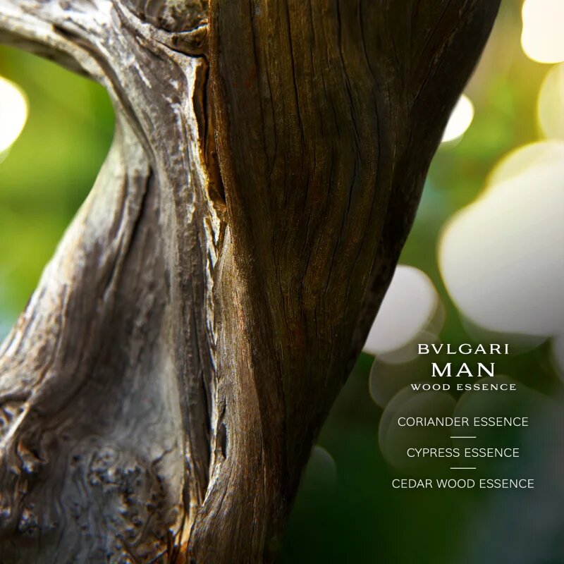 BVLGARI Man Wood Essence parfumska voda polnilna za moške 60 ml