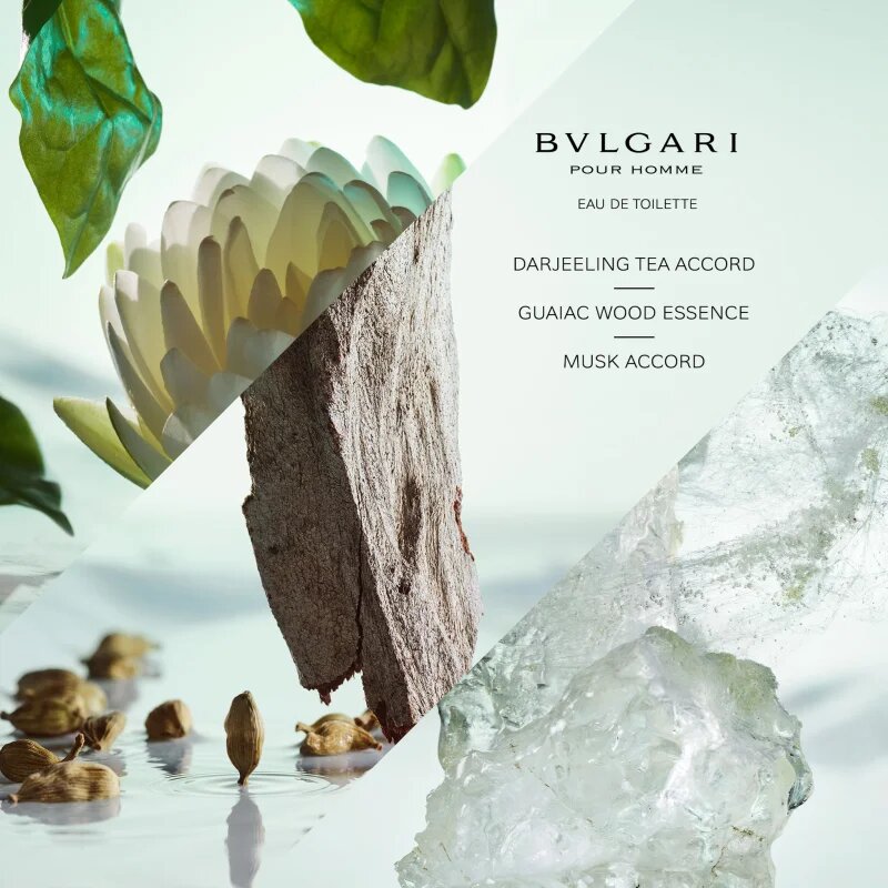 BVLGARI Pour Homme toaletna voda za moške 100 ml