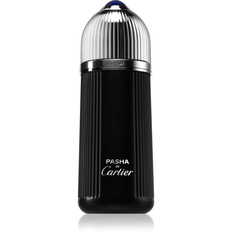 Cartier Pasha de Edition Noire toaletna voda za moške 150 ml