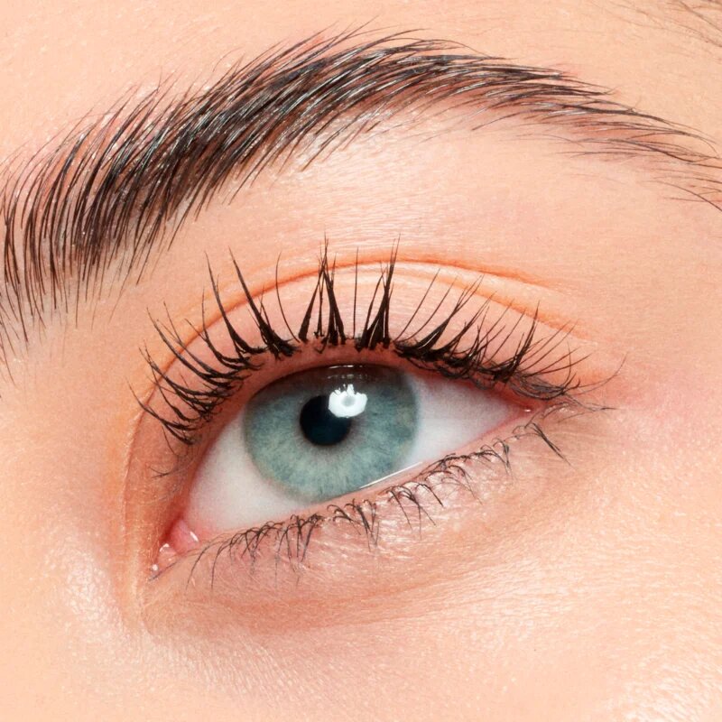 Catrice Lash Brow Designer gelasta maskara za trepalnice in obrvi 6 ml