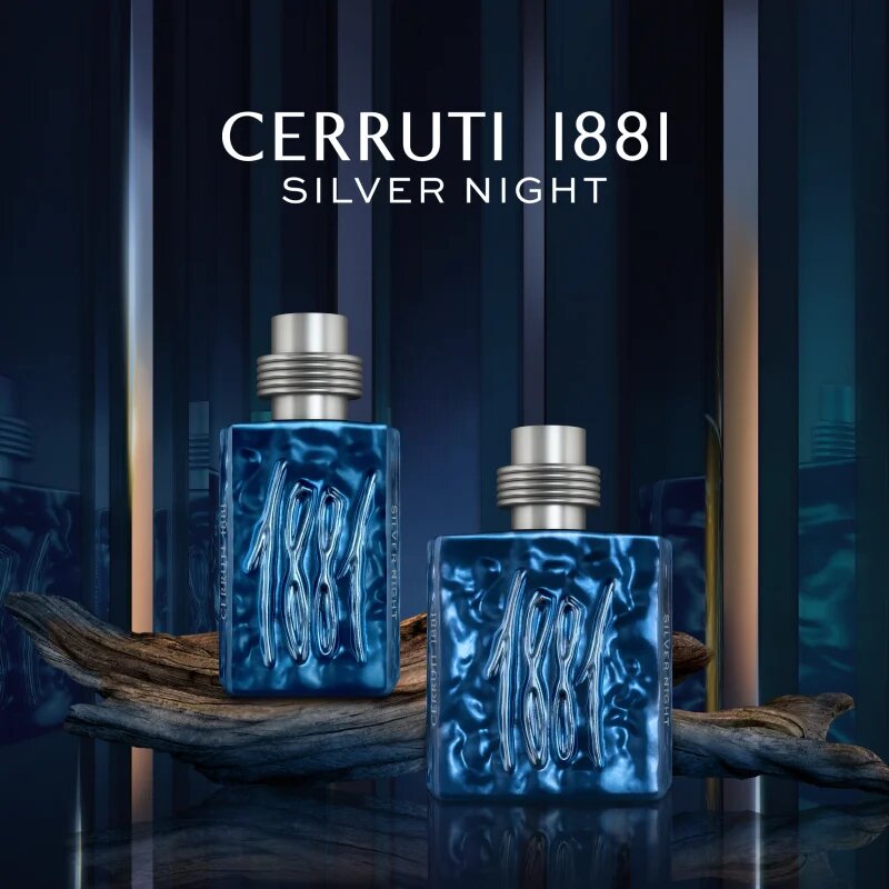 Cerruti 1881 Silver Night parfumska voda za moške 100 ml