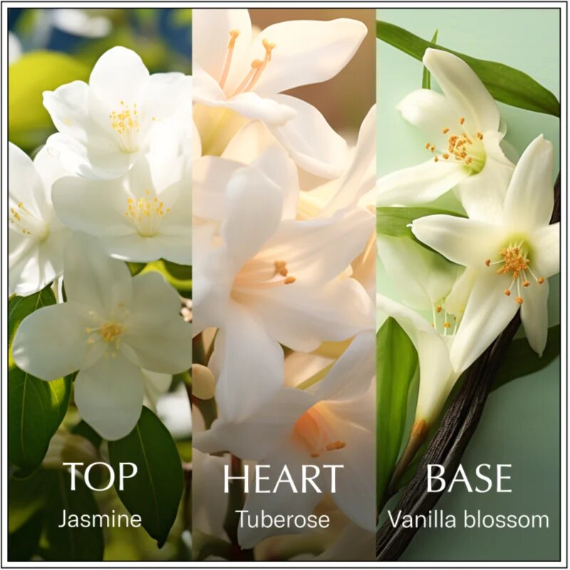 Chanson d'Eau Original Jasmine toaletna voda za ženske 100 ml