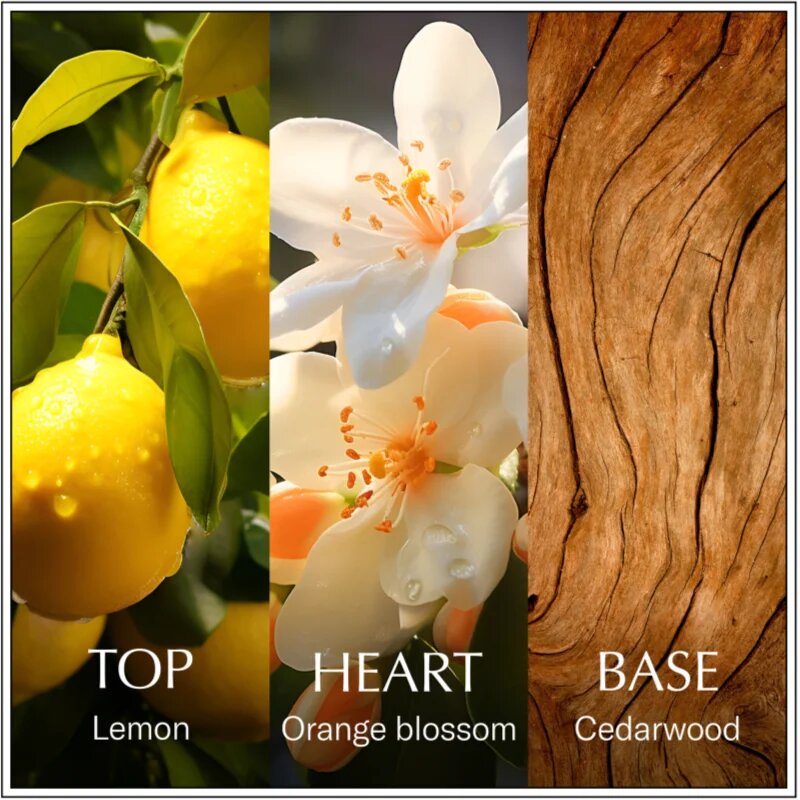 Chanson d'Eau Original Lemon toaletna voda za ženske 100 ml