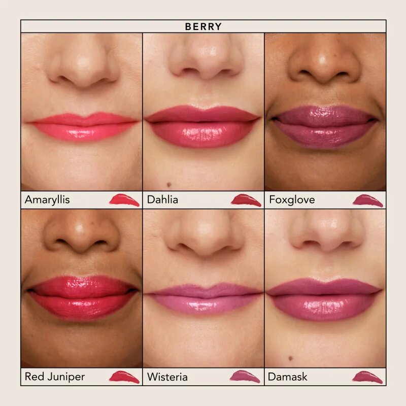 Chantecaille Lip Chic vlažilna sijoča šminka Red Juniper 2 g