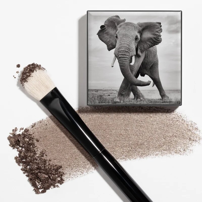 Chantecaille Shade and Sweep Eye Brush ploščat čopič za senčila za oči 1 kos
