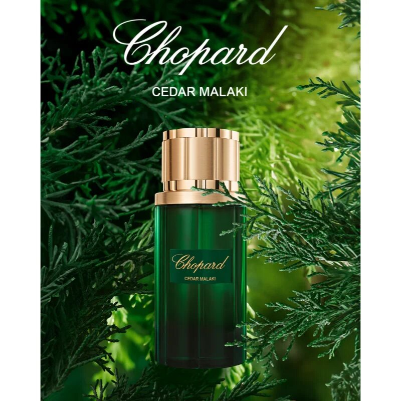 Chopard Cedar Malaki parfumska voda za moške 80 ml